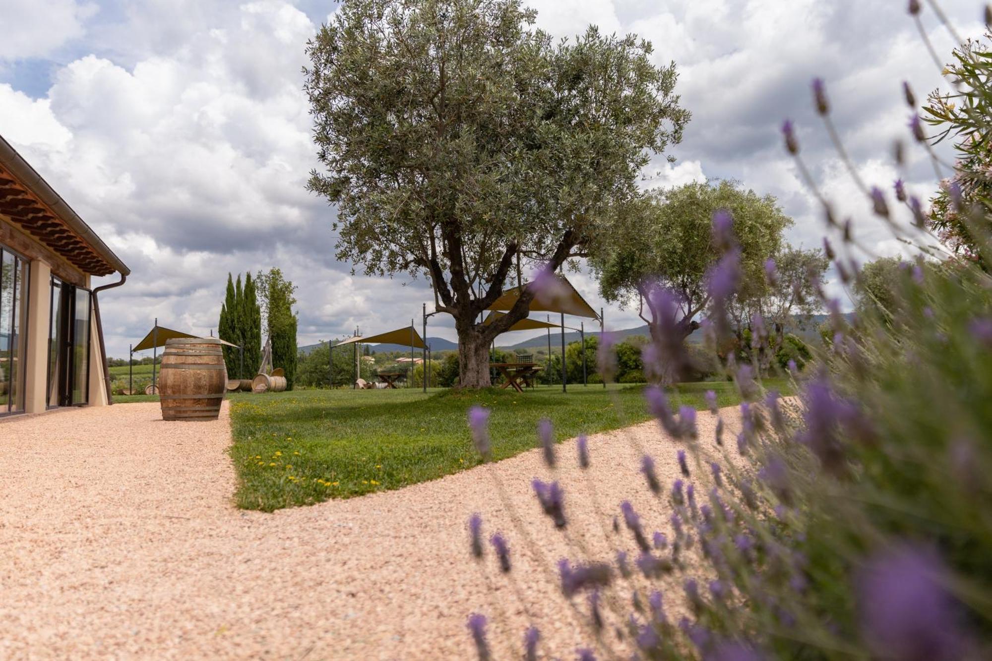 Locanda Dell'Aioncino Bibbona Bagian luar foto